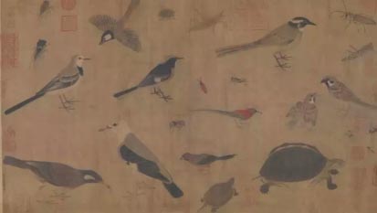 写生珍禽图卷：最早的花鸟画教科书